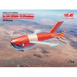 1/48 Q-2A (XM-21, KDA-1) Firebee US Drone n- 2 pcs
