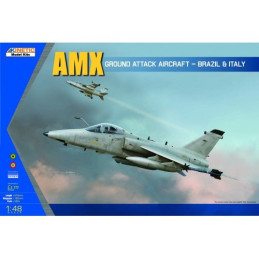 1/48 AMX Fighter Single-Seater