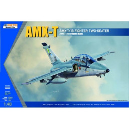 1/48 AMX-T/1B Fighter Two-Seater 
