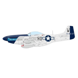 1/48 P-51D-10 Mustang Weekend Edition