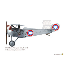 1/32 Nieuport XXI in Russian Service